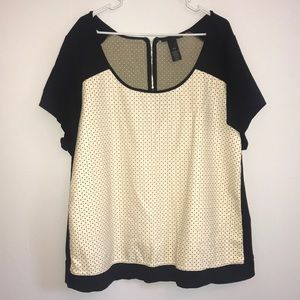 Lane Bryant Cream & Black Top